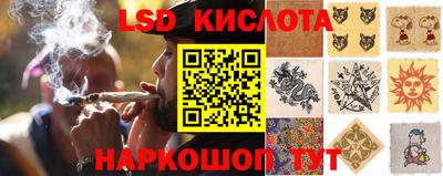 ПСИЛОЦИБИНОВЫЕ ГРИБЫ Гусиноозёрск