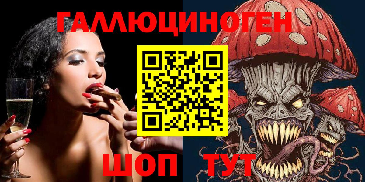 Псилоцибиновые грибы Psilocybe Губкинский
