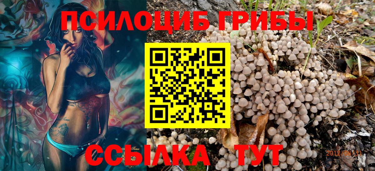 Псилоцибиновые грибы мицелий  Вход с VPN  Губкинский 